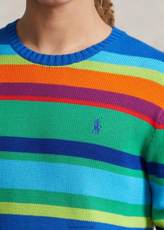 Ralph Lauren mehed triibuline puuvillane kaelusega kampsun PR0V888