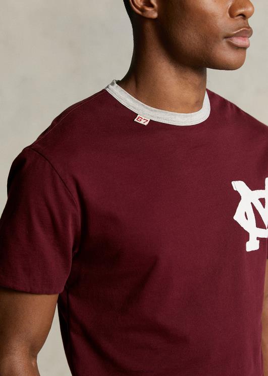 Ralph Lauren mehed Morehouse kollektsiooni 2-in-1 t-särk PR0V1175 klassikaline vein/kanarbik