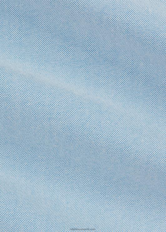 Ralph Lauren mehed klassikaline sobiv oxfordi särk PR0V761 sinine