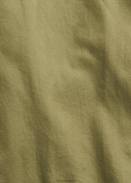 Ralph Lauren mehed slim fit twill lääne särk PR0V1742 oliivikarva