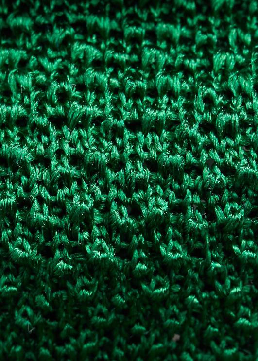 Ralph Lauren mehed kududa siidist lipsu PR0V2246 roheline