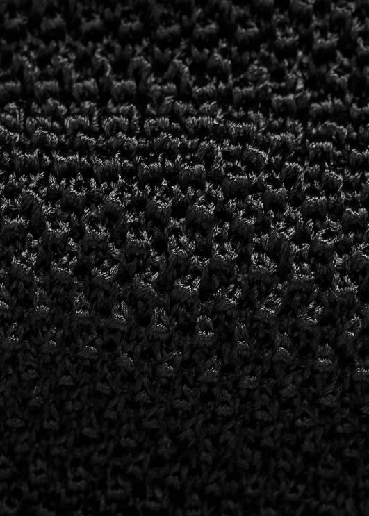 Ralph Lauren mehed kududa siidist lipsu PR0V2688 must