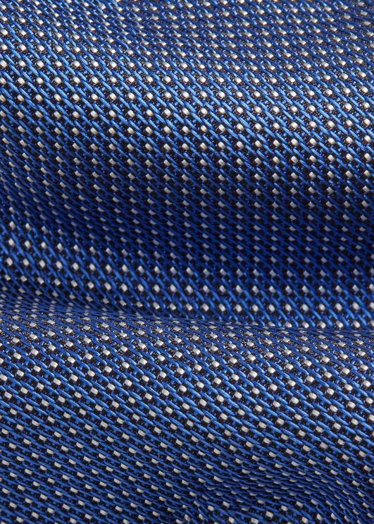 Ralph Lauren mehed pin dot siidist lips PR0V2262 kuninglik/valge