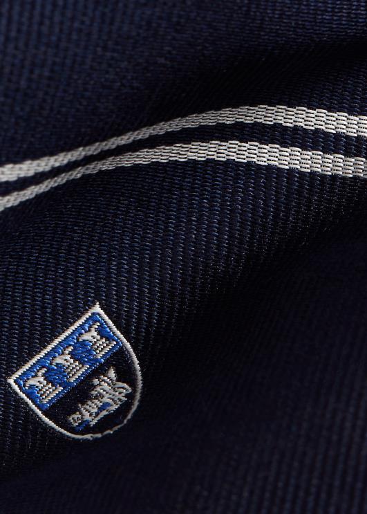 Ralph Lauren mehed siidist repp klubi lips PR0V2528 merevägi