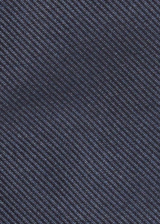 Ralph Lauren mehed siidist repp lips PR0V2255 merevägi