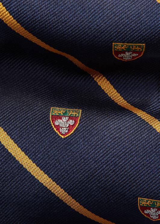 Ralph Lauren mehed triibuline siidist klubilips PR0V2209 merevägi