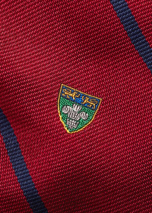 Ralph Lauren mehed triibuline siidist klubilips PR0V2269 punane