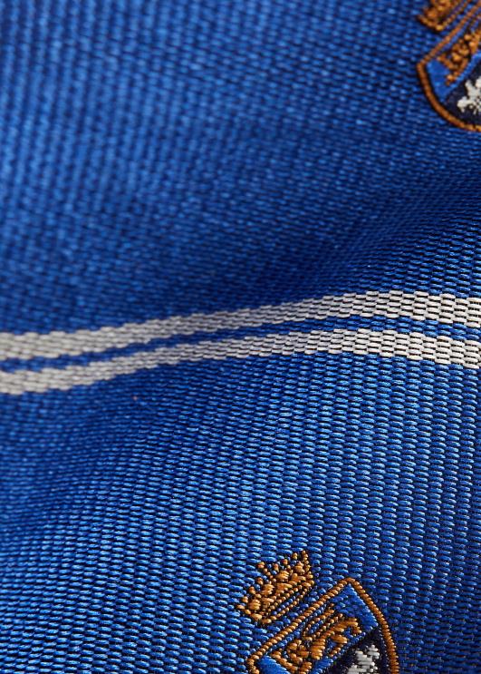 Ralph Lauren mehed triibuline siidist repp klubilips PR0V2234 sinine