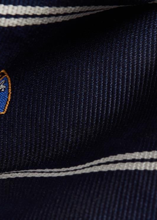 Ralph Lauren mehed triibuline siidist repp klubilips PR0V2529 merevägi