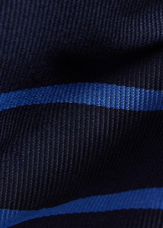 Ralph Lauren mehed triibuline siidist repp lips PR0V2531 merevägi/kuninglik