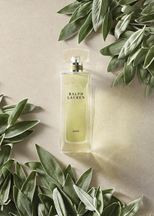 Ralph Lauren naised salvei parfüümvesi PR0V2724